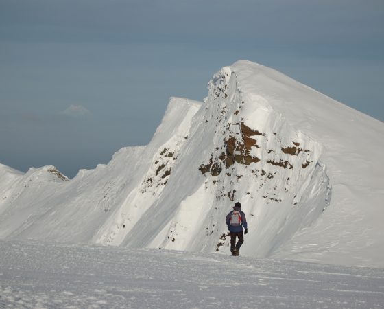 DESAFÍO HUELLA DE DARWIN – MONTE TARN